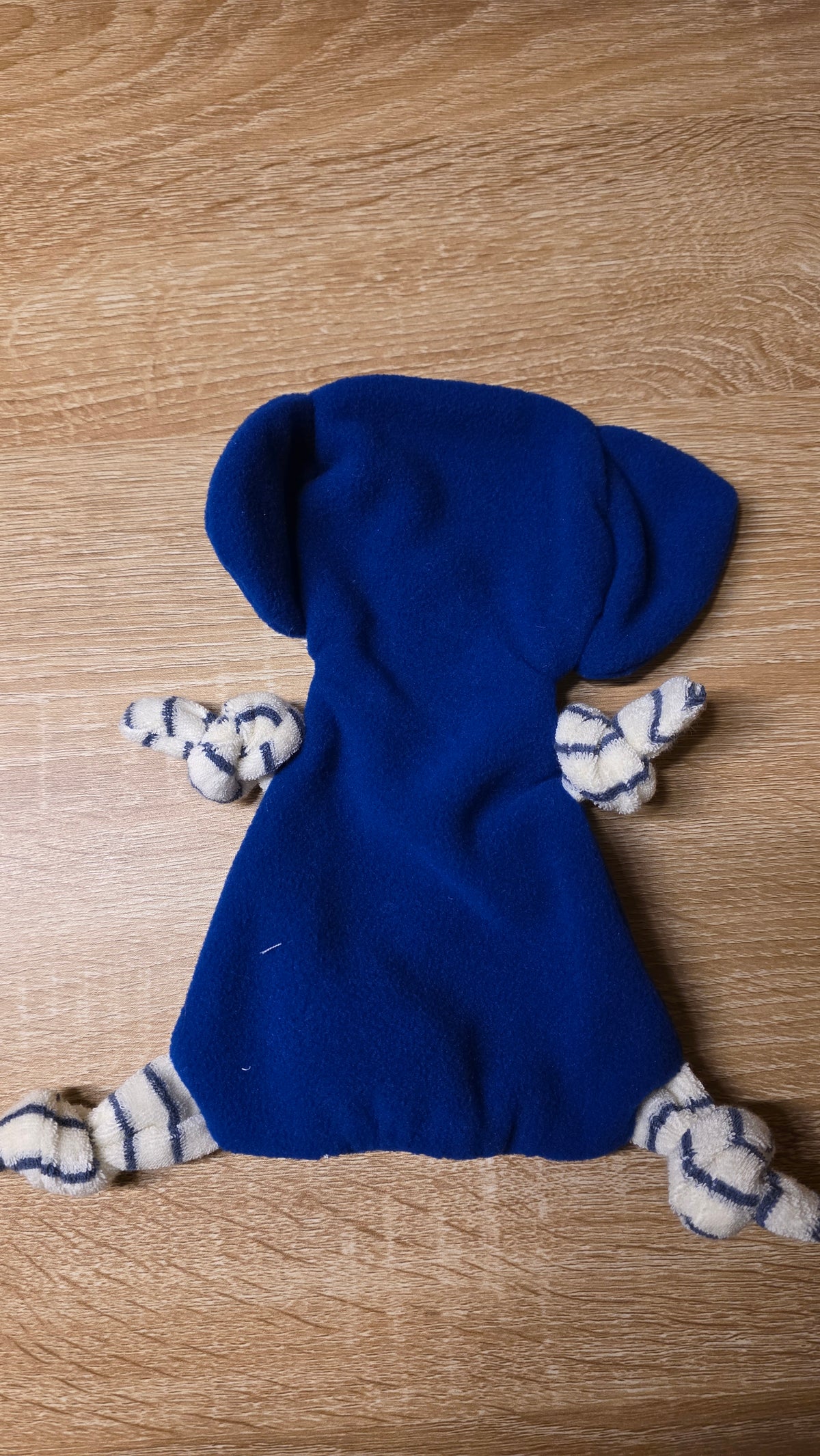 Schmusehund – Liebevoller Kuschelfreund mit Herz