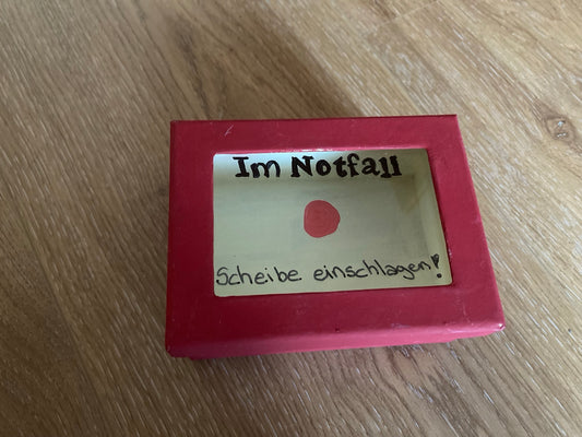 Im Notfall Scheibe einschlagen