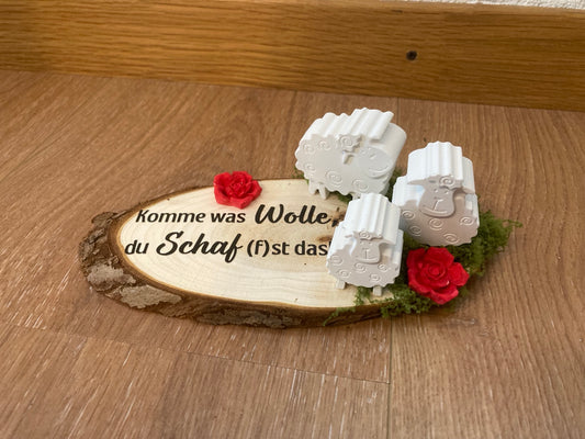 Schafe gegossen Komme was Wolle