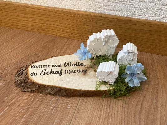 Schafe gegossen Komme was Wolle