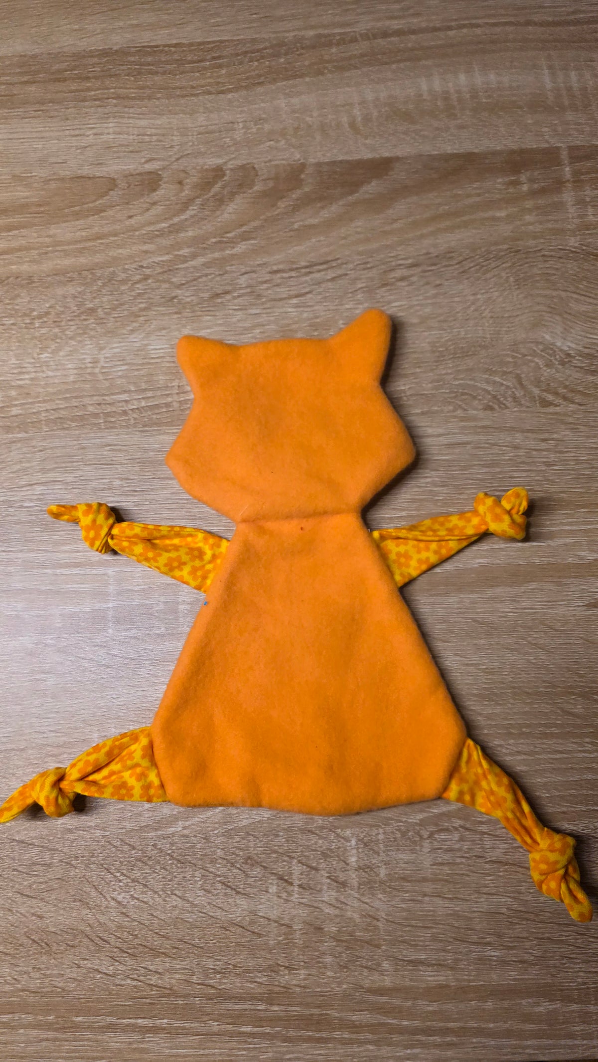 Schmusekatze – Flauschige Kuschelfreundin mit Herz