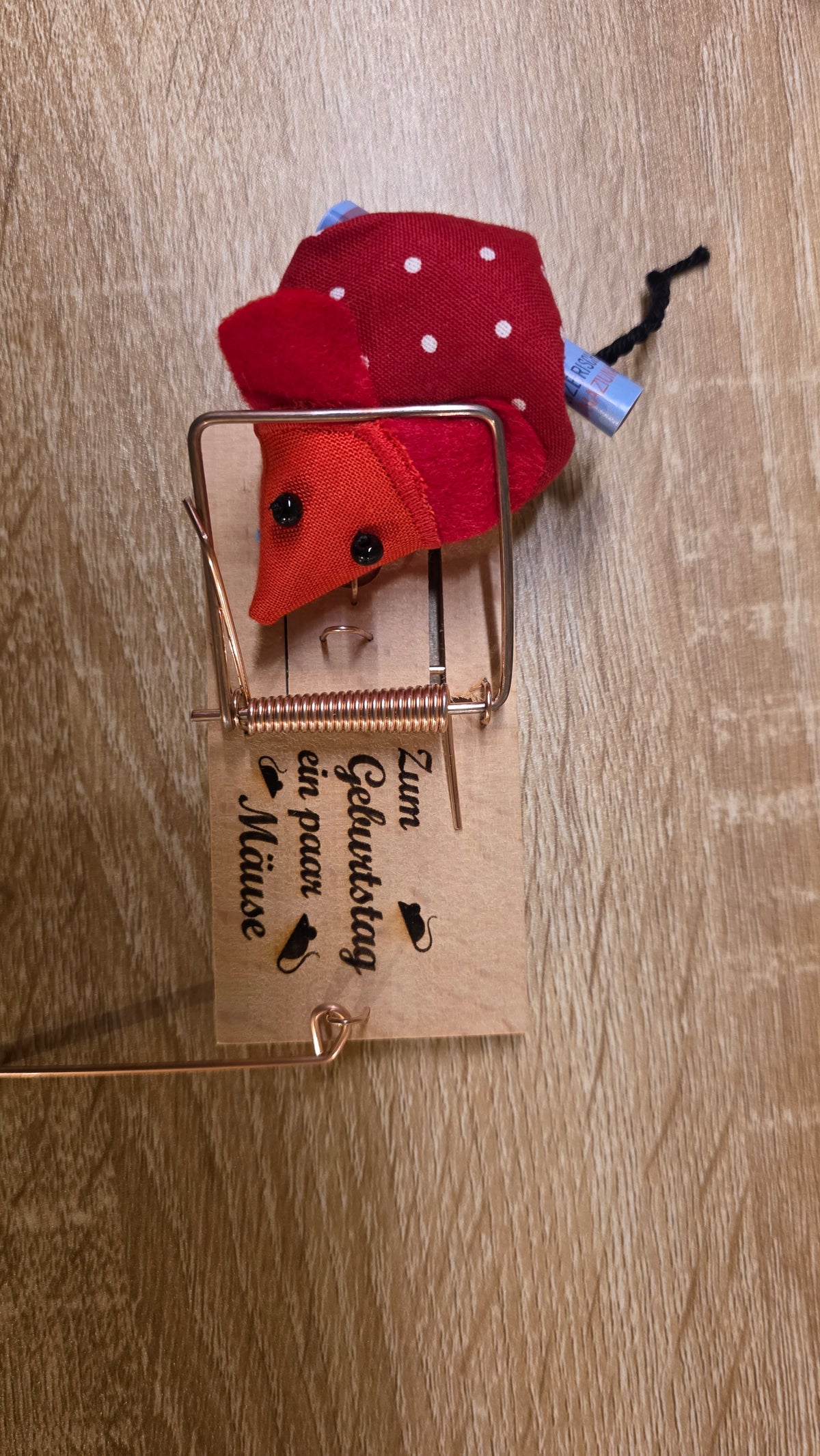 🐭🎁 Geldgeschenk – Zum Geburtstag ein paar Mäuse! 💰🎉