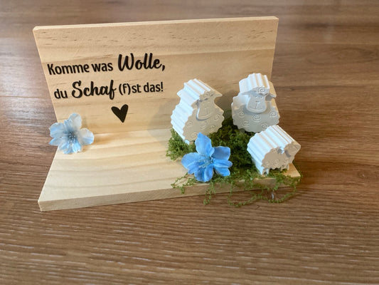 Schafe gegossen Komme was Wolle