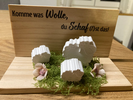 Schafe gegossen Komme was Wolle